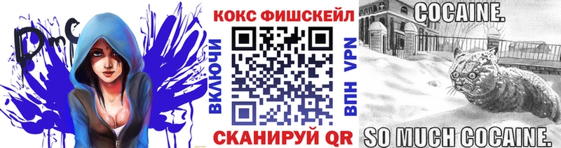 купить  цена  Пучеж  нарко площадка клад  КОКАИН VHQ 