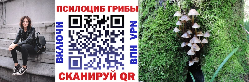 Псилоцибиновые грибы Cubensis  Пучеж 